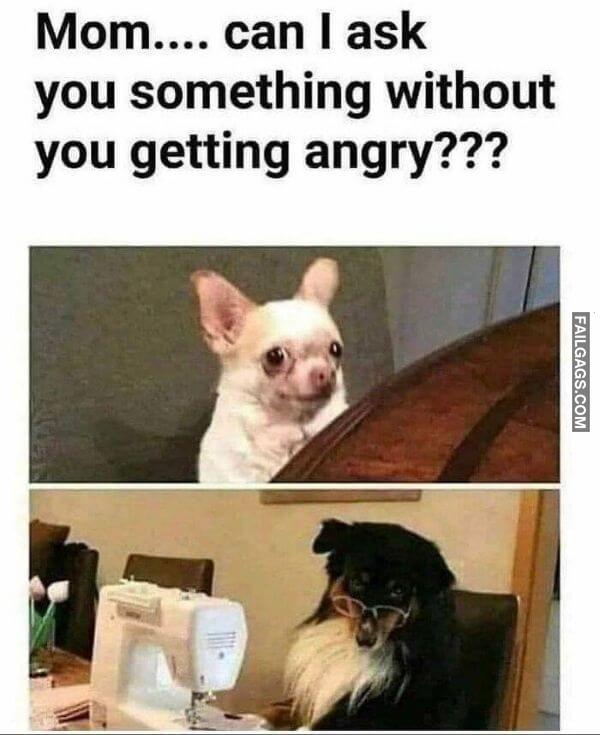 Random Funny Memes 5 1