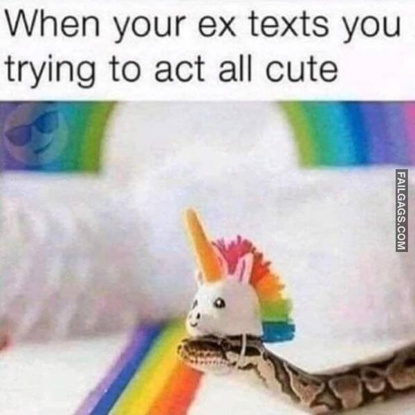 Random Funny Memes 5 8