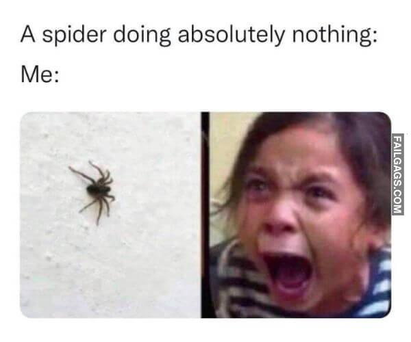Random Funny Memes 6 2