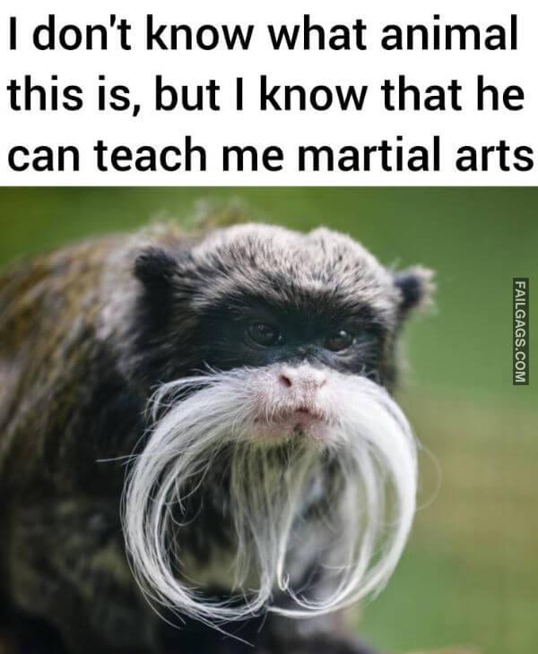 Random Funny Memes 7 2
