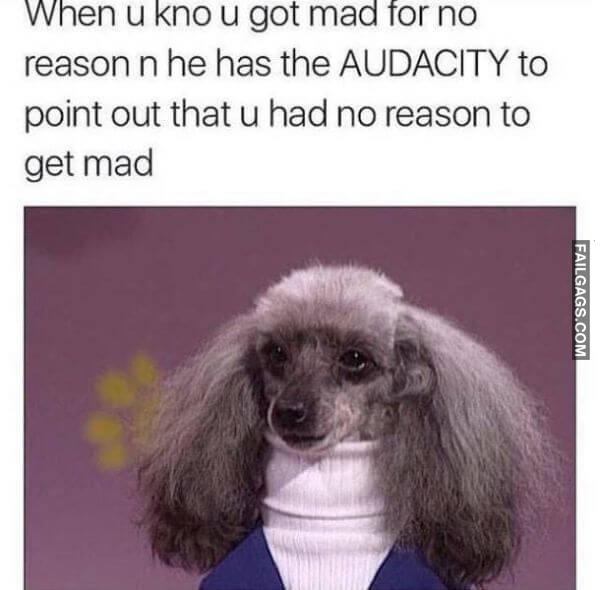 Random Funny Memes 7 3