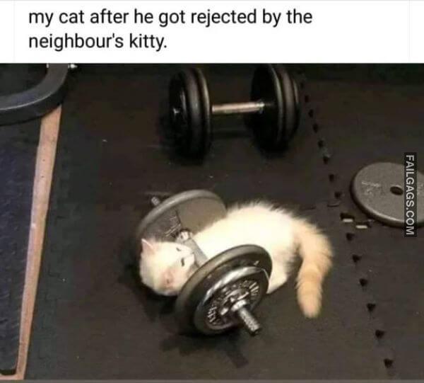 Random Funny Memes 9 3