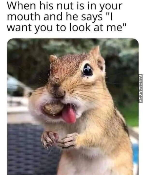 When His Nut Is in Your Mouth and He Says I Want You to Look at Me Dirty Sex Memes