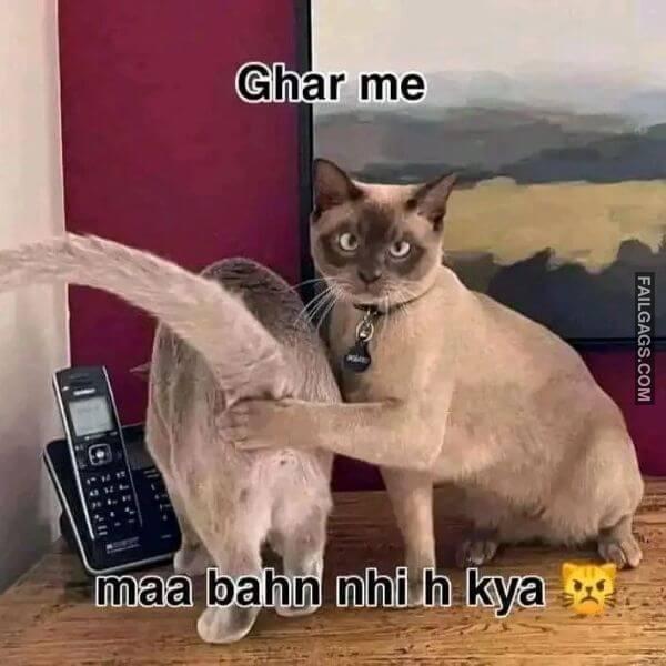Adult Hindi Memes 12