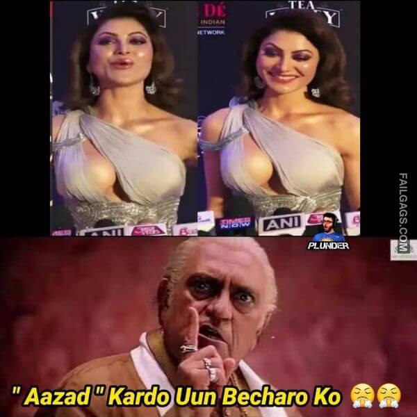 Adult Hindi Memes 14