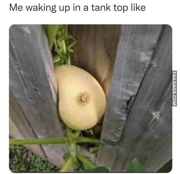 Funny Adult Memes 5 2