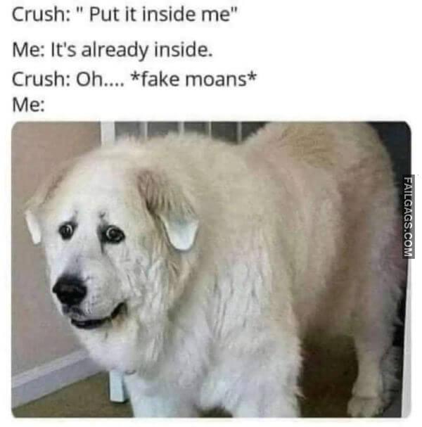 Funny Dirty Memes 13 1