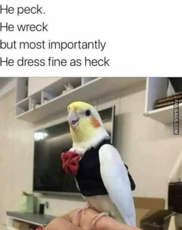 Random Funny Memes 11 3