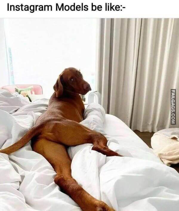 Random Funny Memes 2 3