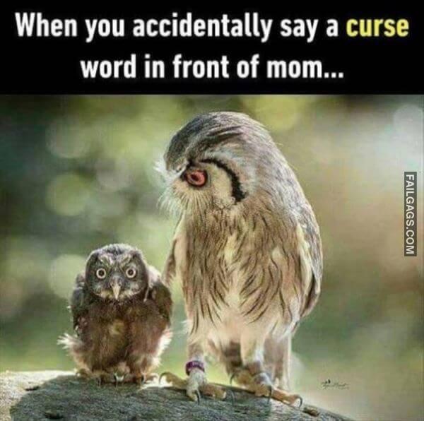 Random Funny Memes 2 5