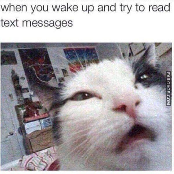 Random Funny Memes 6 6