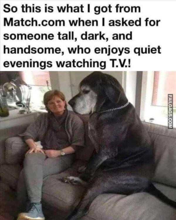 Random Funny Memes 7 4