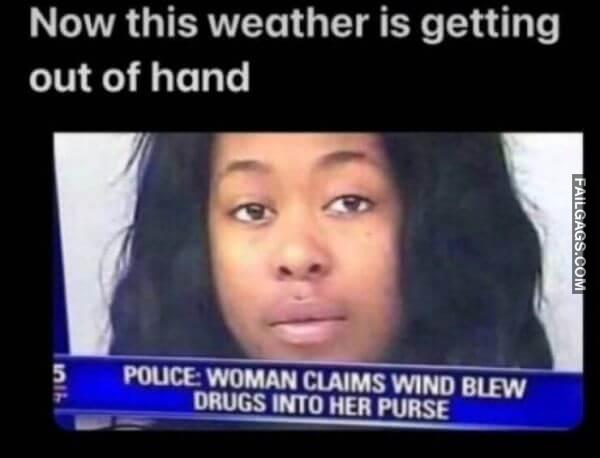 Random Funny Memes 8 3