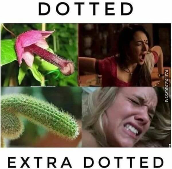 Funny Indian Dirty Memes 1