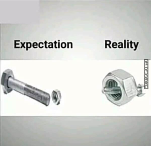 Funny Memes for Adults 11 1