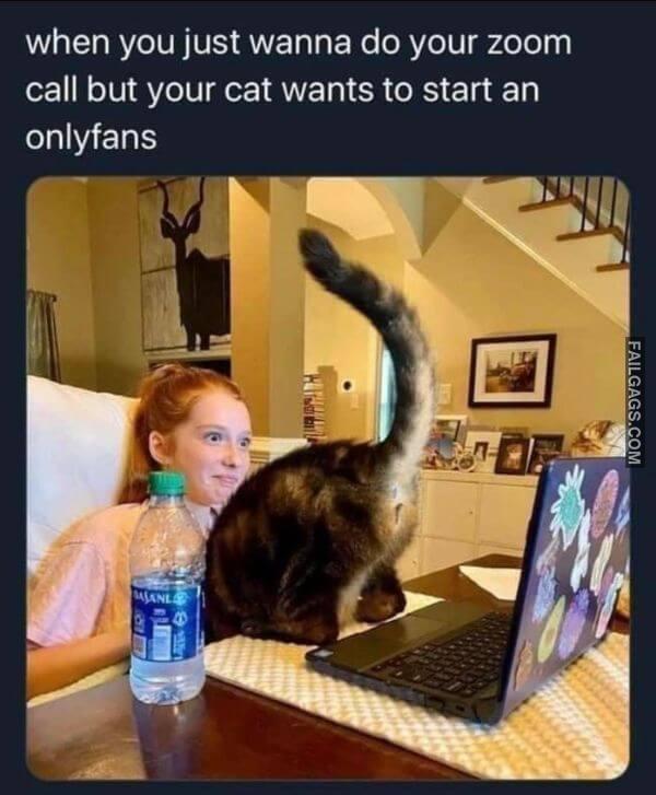 Funny Memes for Adults 12