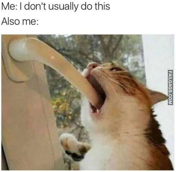 Funny Memes for Adults 4