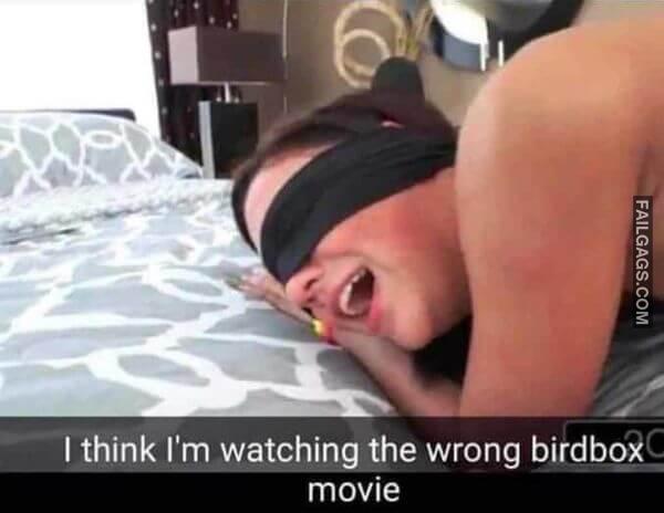 I Think Im Watching the Wrong Bird Box Movie Adult Memes