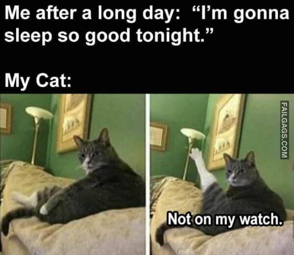 Random Funny Memes 1 4