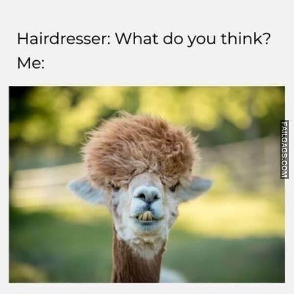 Random Funny Memes 10 6