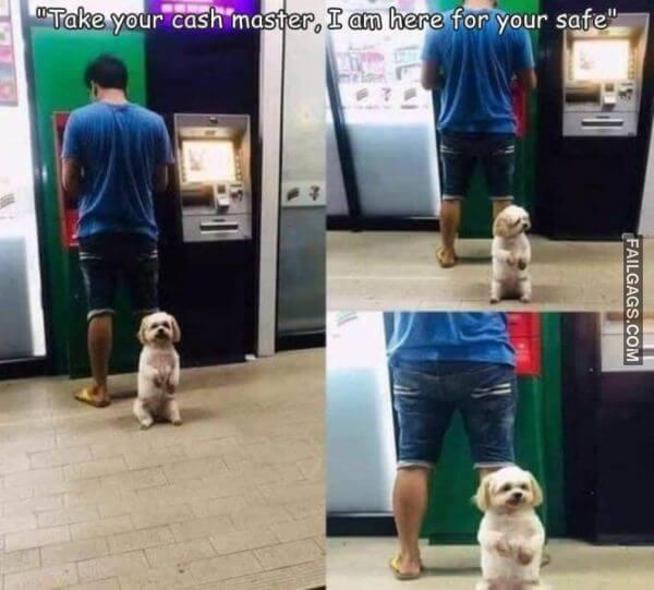 Random Funny Memes 10 9