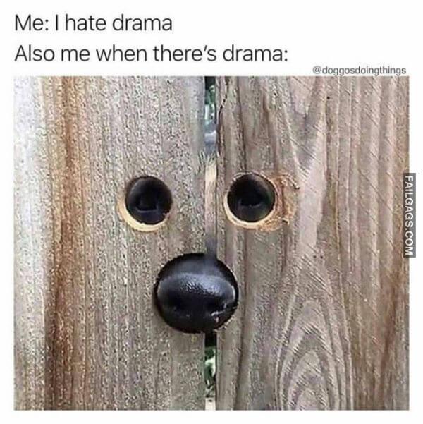 Random Funny Memes 13