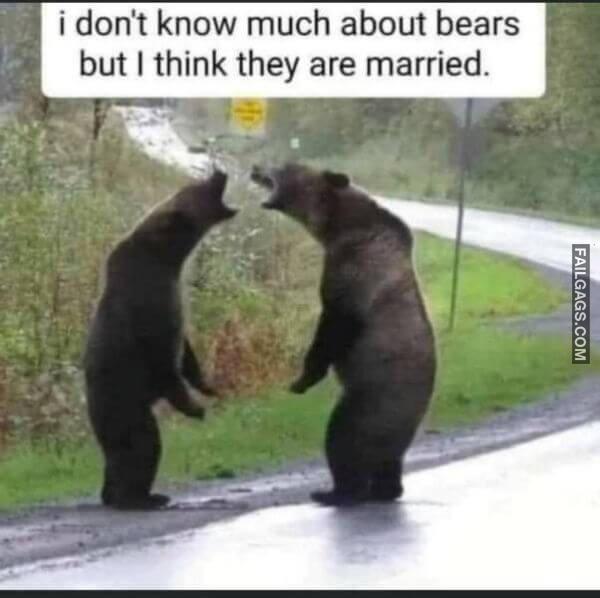 Random Funny Memes 14 3