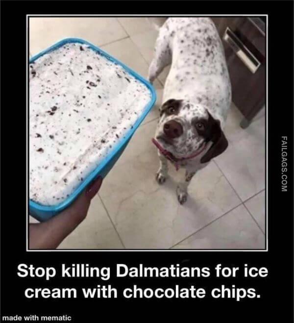 Random Funny Memes 2 13