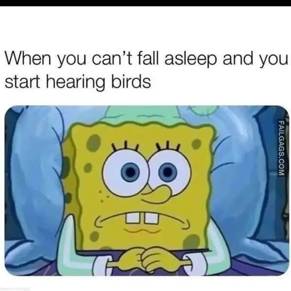 Random Funny Memes 2 3