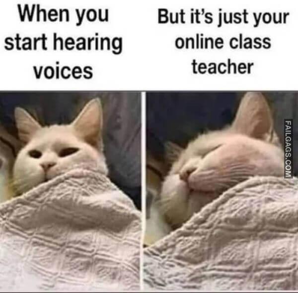 Random Funny Memes 2 7