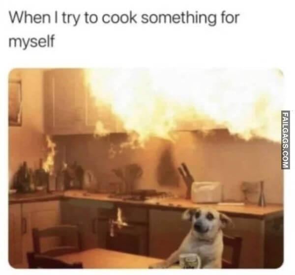 Random Funny Memes 3 3