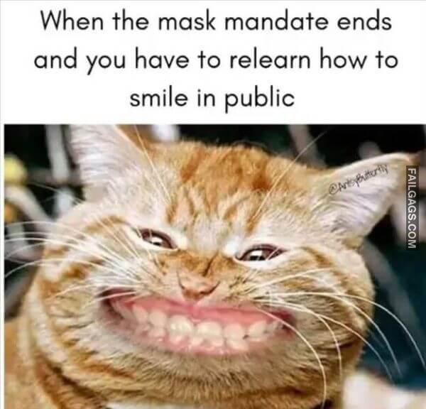 Random Funny Memes 4 13