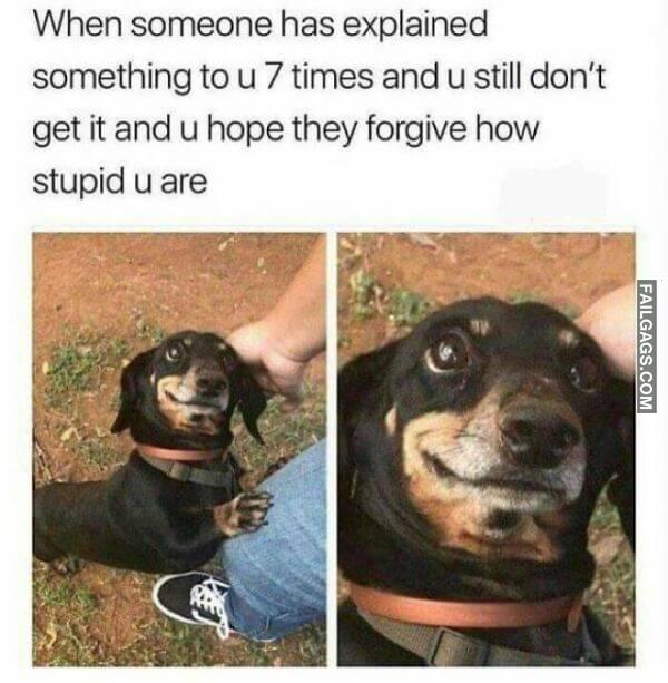 Random Funny Memes 4 2