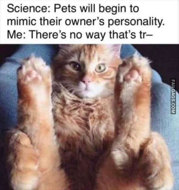 Random Funny Memes 4