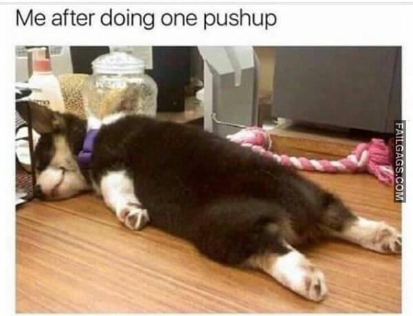 Random Funny Memes 5 15