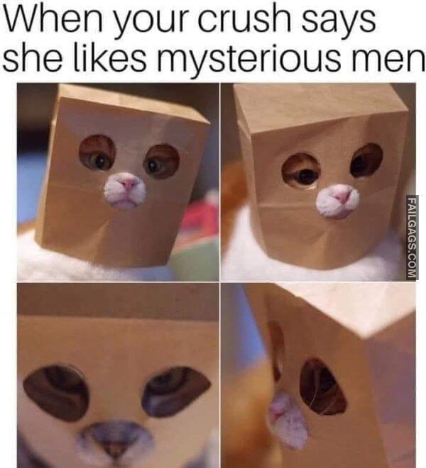 Random Funny Memes 5 5