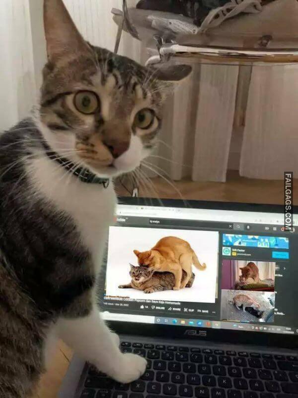 Random Funny Memes 8 12