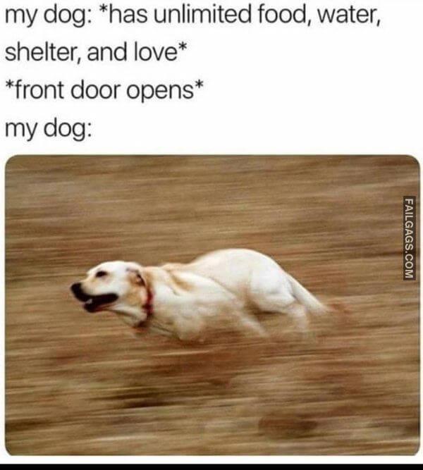 Random Funny Memes 8 5