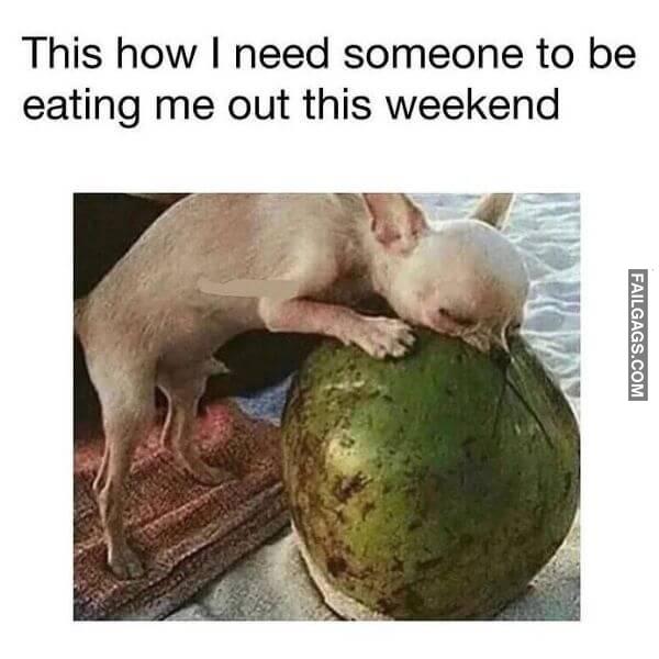 Dirty Memes for Adults 11