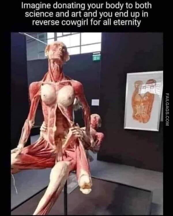 Funny Dirty Memes for Adults 12