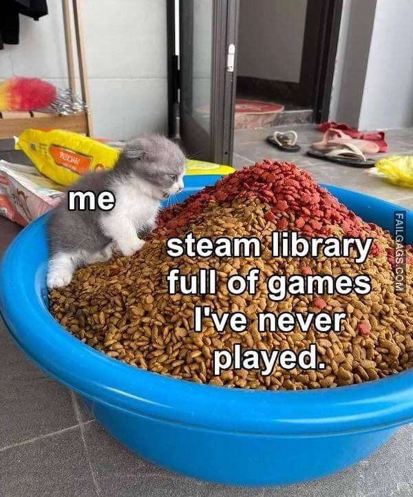 Funny Memes for Gamers 2