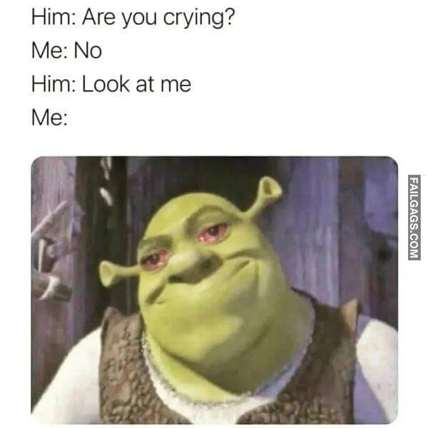 Funny Memes for Women 4