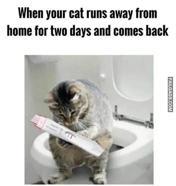 Random Funny Memes 1 4