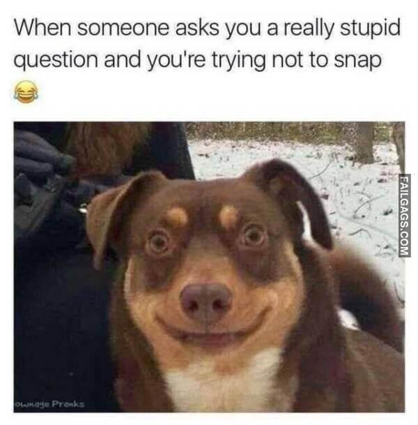 Random Funny Memes 1 7