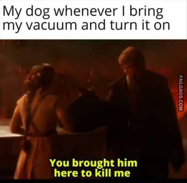 Random Funny Memes 1 8