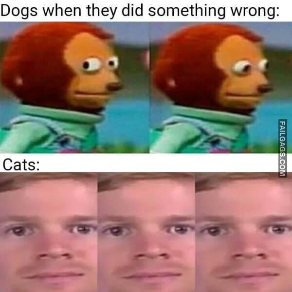 Random Funny Memes 10 2