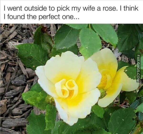 Random Funny Memes 11 2