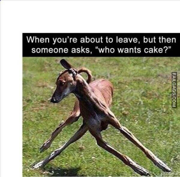 Random Funny Memes 13 4