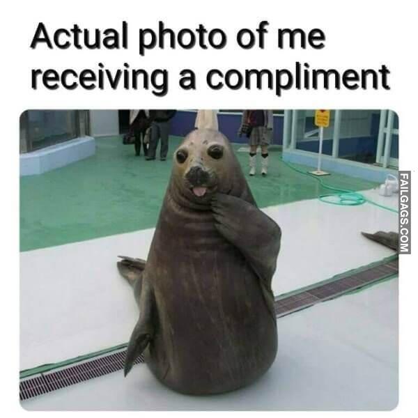 Random Funny Memes 2 9