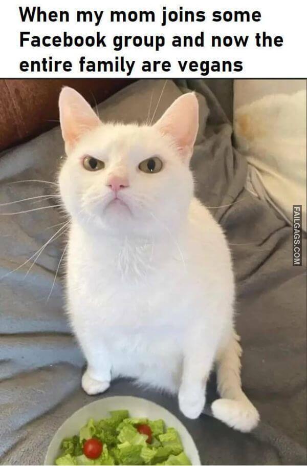 Random Funny Memes 3 7